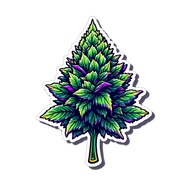 Top Shelf Flower